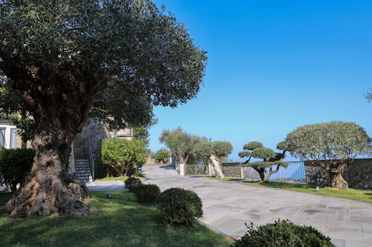 Villa Italia Sorrento Termini Eksteriør billede