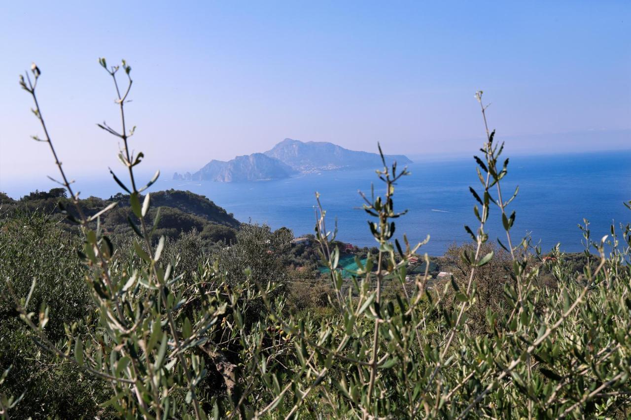 Villa Italia Sorrento Termini Eksteriør billede