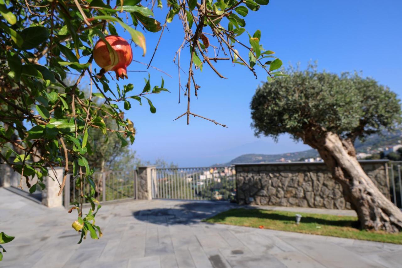 Villa Italia Sorrento Termini Eksteriør billede